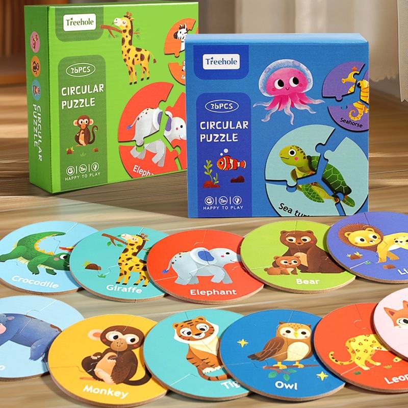 3 PCS Reusable Circular Matching Puzzle Set 3+