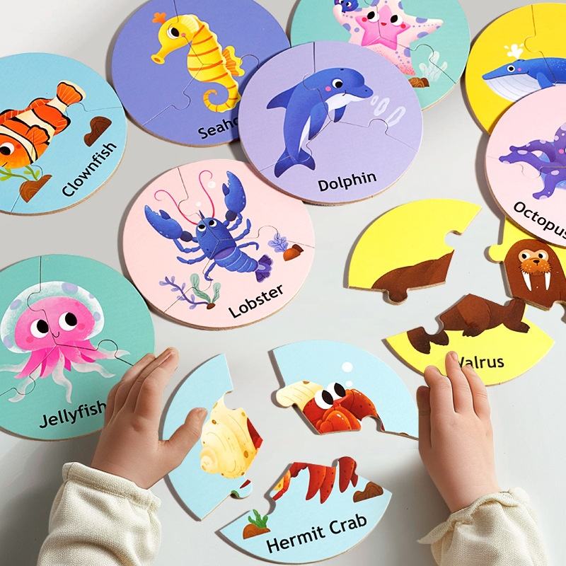 3 PCS Reusable Circular Matching Puzzle Set 3+